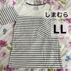 Item thumbnail for item 128ed456-8c74-45c3-8a12-6cb2ed85fb4d