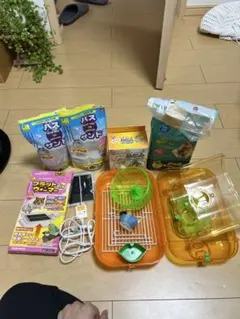 Item thumbnail for item c98d4ca6-d072-4db8-ac9c-45959df83155