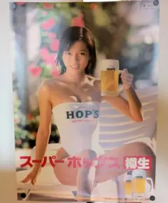 激レア 釈由美子 サントリー B2 B3 ポスター 水着 ビキニ ハイレグ