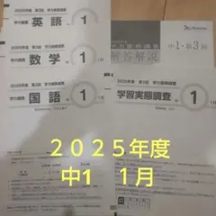 2026年最新】ベネッセ 学力推移調査 中1の人気アイテム - メルカリ