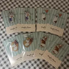 shi-kun dakkun様 リクエスト 3点 まとめ商品