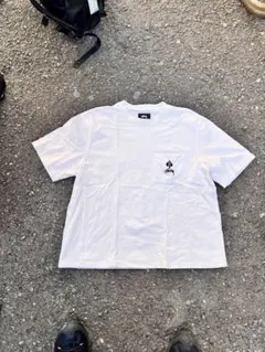 激安‼️ stussy Tシャツ