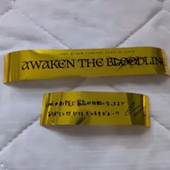 &TEAM アジツ 銀テ 銀テープ ウィジュ EJ ロゴ セット