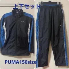 子供服PUMAナイロンジャージ上下セット150サイズ