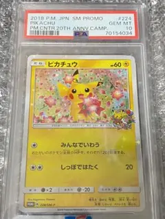 【PSA10】ピカチュウ224/SM-P　20周年プロモ　みんなでいわう