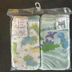 恐竜柄4層トレーニングパンツセット