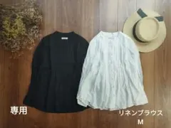 Item thumbnail for item 013fa272-b086-484f-9206-6c22b8cff292