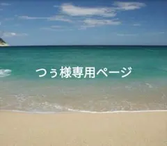 つぅ様☆専用ページ