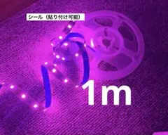 Item thumbnail for item 88c5743c-3c05-476c-b475-73a80d0e0e4e