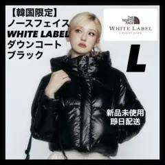 【韓国限定】ノースフェイス ダウン Lサイズ GLOSSY ELBERON