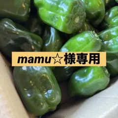 mamu様専用のサムネイル