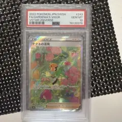 ナタネの活気 SAR S12a VSTARユニバース 243/172 PSA10