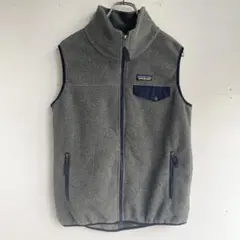 16年製 パタゴニア シンチラフリースベスト Patagonia ヴィンテージ