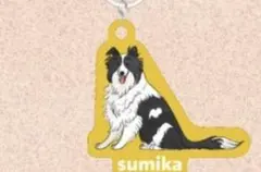 sumika Honto 初回生産限定盤 (CD+Blu-ray+トートバッグ) - メルカリ