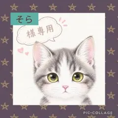おまっちゃん様 リクエスト まとめ 【ありがとうキャンペーン】 - メルカリ