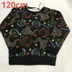 Item thumbnail for item 2c110f5c-f20d-4436-bbd7-2c73e08a4d5b