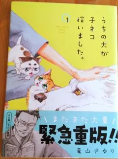 うちの犬が子ネコ拾いました。 1