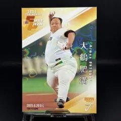 Item thumbnail for item 821bdeac-8f2f-423d-860f-f63b6ad5308a