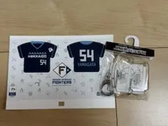 山縣秀 ユニパッチン WLH