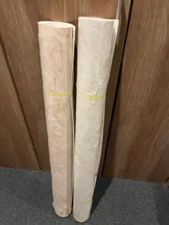 Item thumbnail for item e6b029d6-e311-4e80-bb48-2d59941aade9