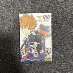 REBORN リボーン ボードゲーム ボドゲ 未開封 アニメイト特典付き