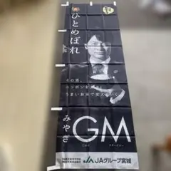 Item thumbnail for item 451a4857-76c8-4d2f-811a-a13302c983da