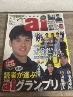 プロ野球ai 2013年9月もっと知りたい大谷翔平 - メルカリ