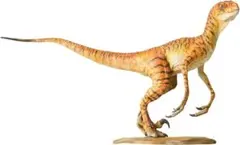 DINODREAM　ヴェロキラプトル　ヒョウ DINODREAM ヴェロキラプトル ヒョウ - メルカリ