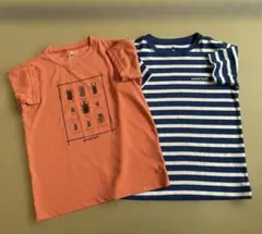 モンベル　ウイックロンTシャツ　130cm セット