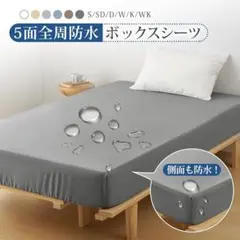 Item thumbnail for item 077ac4fd-8bd8-4650-8da4-a5da01f2d713