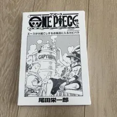 ONE PIECE エース　アートボード