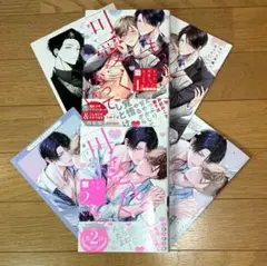 もっと可愛くなっていい 1・2　星ノビル　小冊子　リーフレット