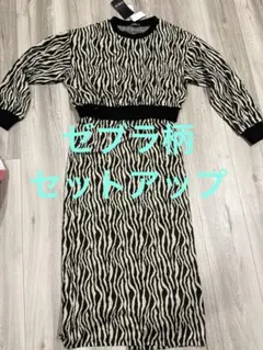 ゼブラ柄セットアップ