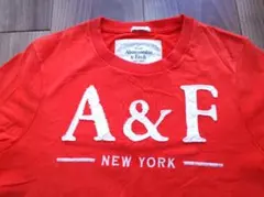 A&F オレンジ Tシャツ クルーネックのサムネイル