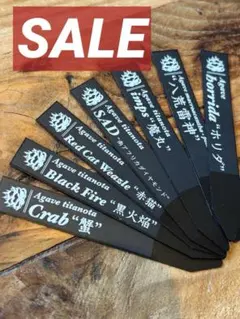 2本 50円引きSALE プランツタグ 園芸ラベル アガベ チタノタ - メルカリ