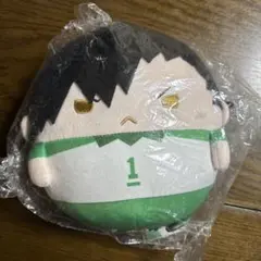 ハイキュー ふわコロりん Mサイズ 黒尾鉄朗 中学生ver