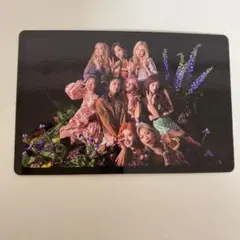 TWICE MORE&MOREトレカ 全員