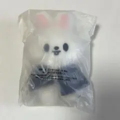 SKZOO MAGIC SCHOOL 10cmぬい Leebit リービット