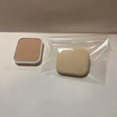 Item thumbnail for item 2cfca673-83aa-4afa-9390-a388702aaaad