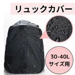 Item thumbnail for item 47748772-8760-40ff-8000-c04f12623065