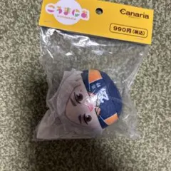 ハイキュー!! 菅原孝支 ころまにあ