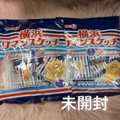 横浜ロマンスケッチ バニラクリーム　1袋(108g)×2のサムネイル