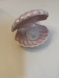 2025年最新】シェルランプ francfrancの人気アイテム - メルカリ