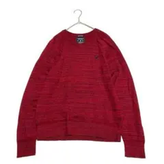 アメリカンイーグルアウトフィッターズ　メンズ長袖VネックニットセーターSサイズ