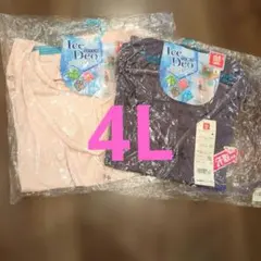 B.V.D. Ladies Ice Deo 4L 2枚セット