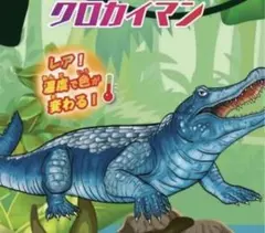 ジャングル&co クロカイマン　ジャングルアンドコ　アンドコ　 ワニ
