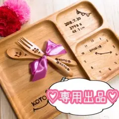 たけ様専用＊みつ仕切りプレート