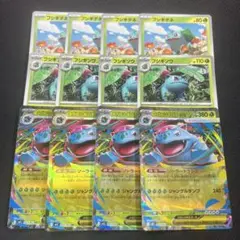 ポケモンカード　メガフシギバナex RR 進化ライン