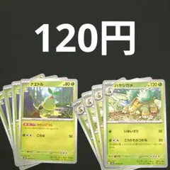 ナエトル×４　ハヤシガメ×４　進化ライン 特性　かたいこうらのサムネイル