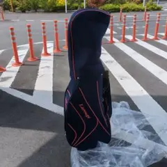 ラルージュ 8本セット レディースゴルフ 初心者 入門 大人気 コース
